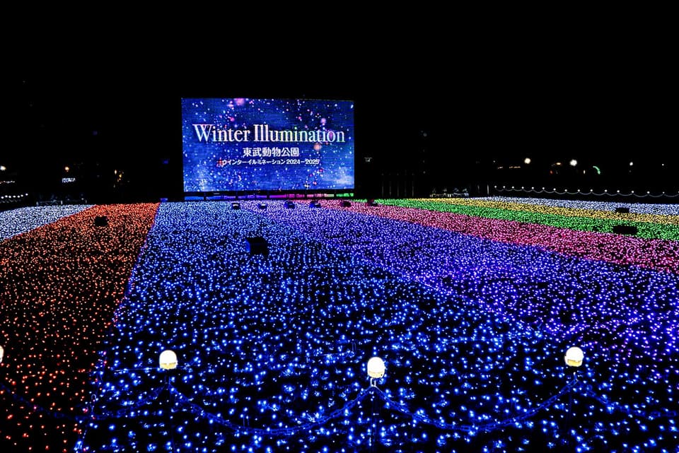 ウインターイルミネーション2024-2025