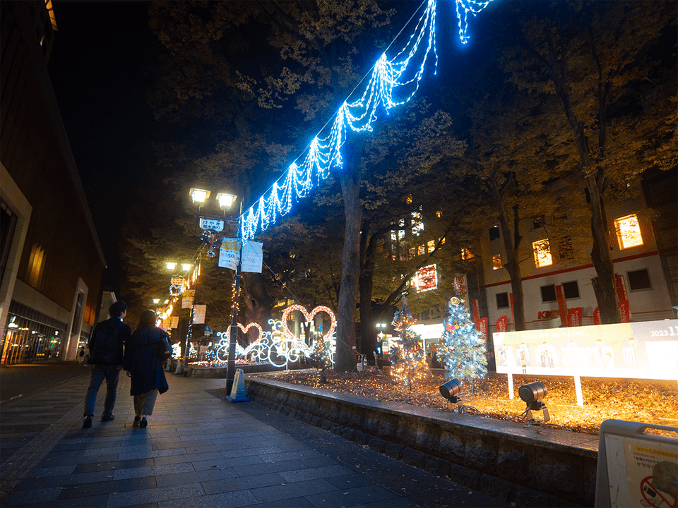 府中けやき並木イルミネーション2024