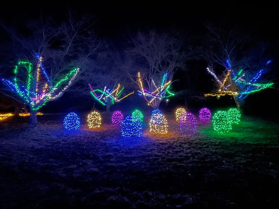 Haramura Starry Sky Illumination 2024