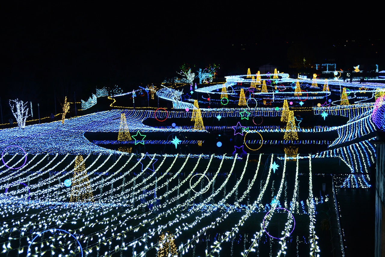 Winter Illumination 2024