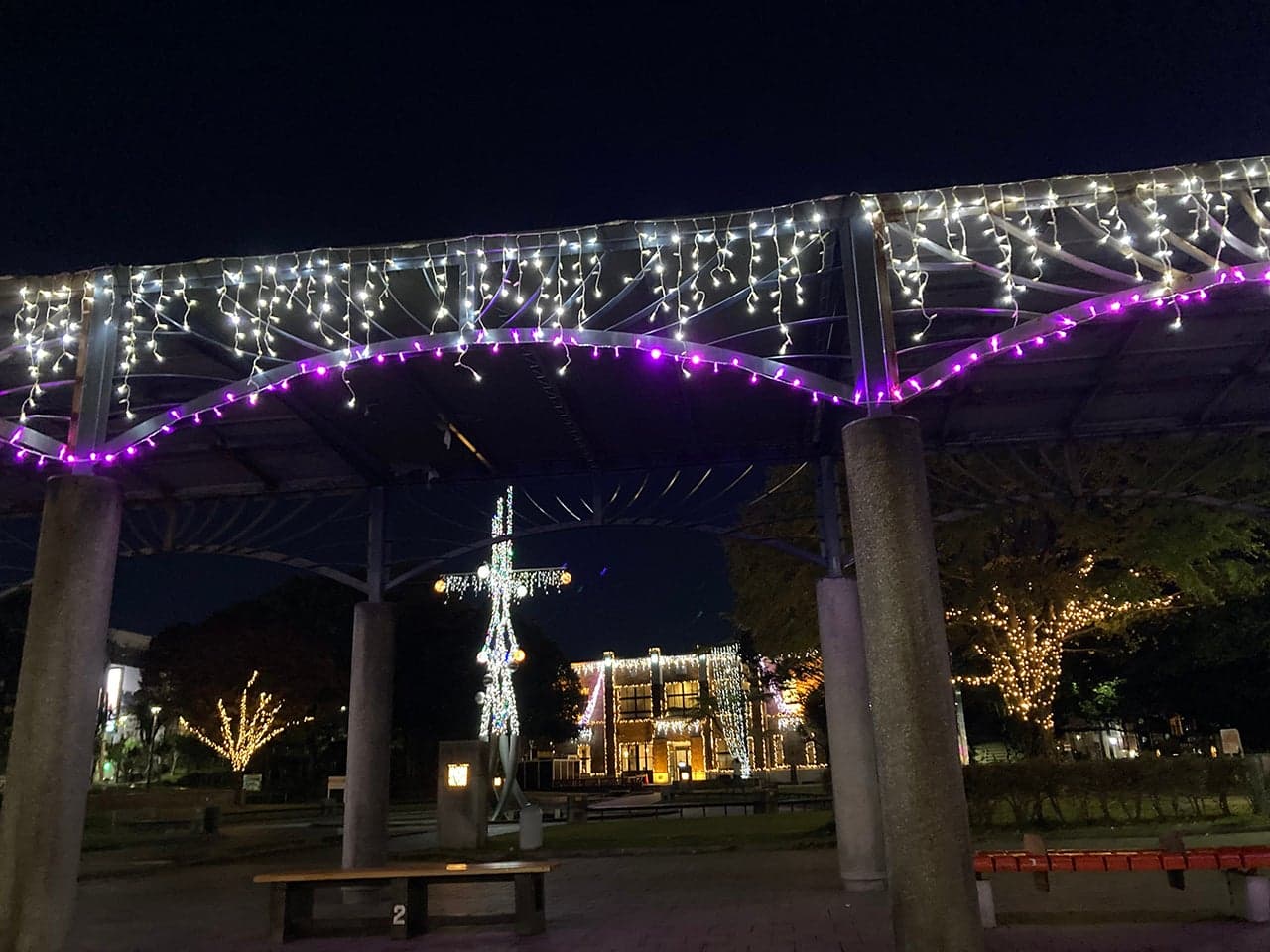 The gift of light from Suwa Park 2024