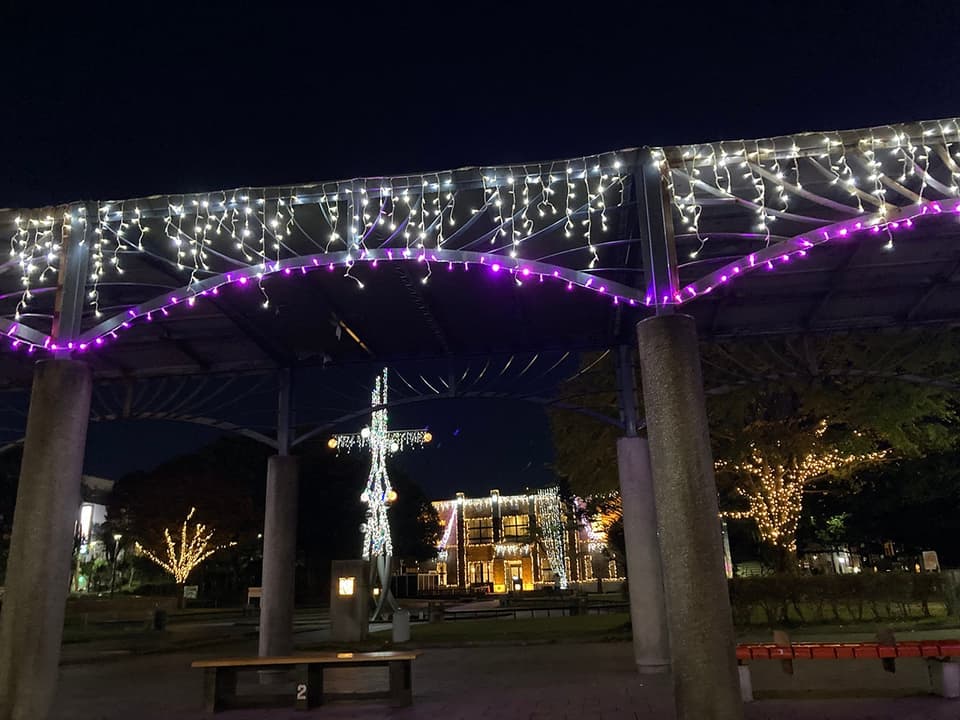 すわ公園から光の贈りもの2024