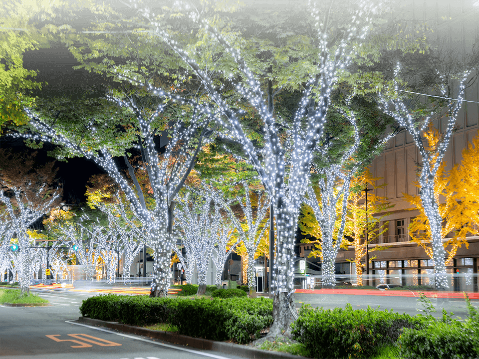 KEYAKI LIGHT PARADE by FeStA LuCe