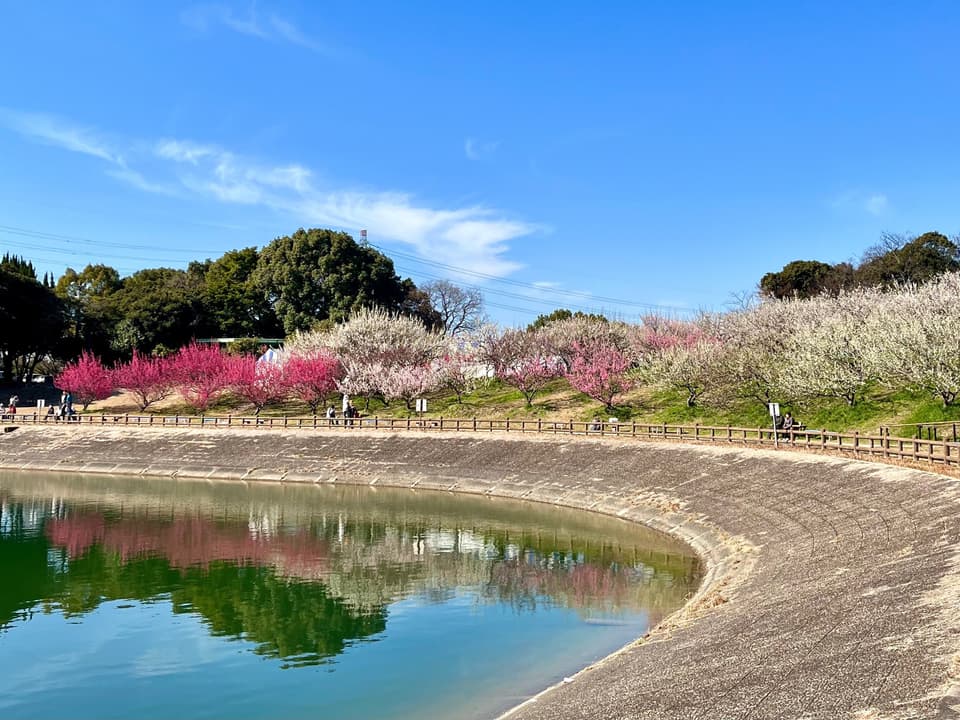 佐布里池と梅林