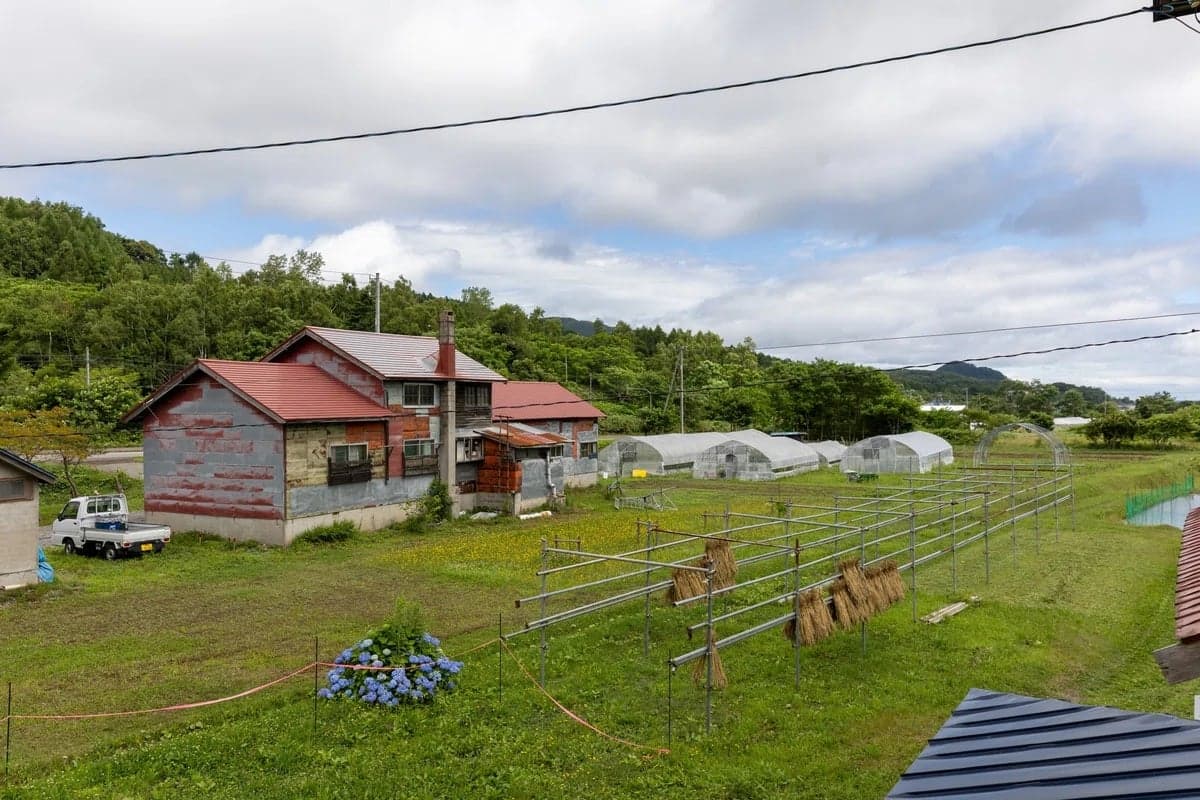 窓辺に広がる古平ののどかな景色
