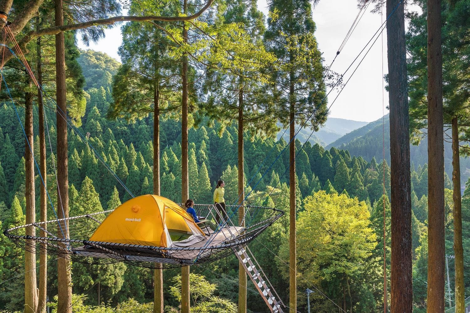 Tree tent
