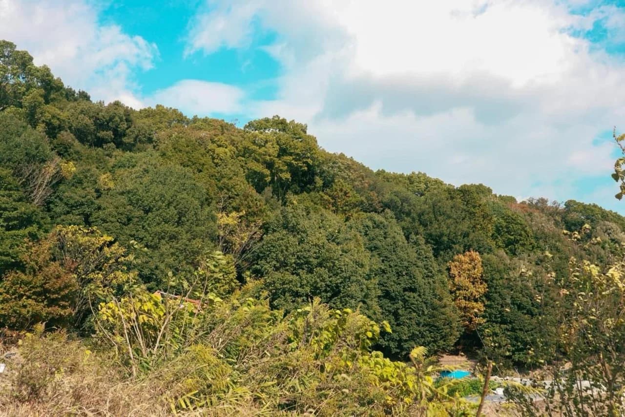 Shin-Kiyama-kofun Tumulus
