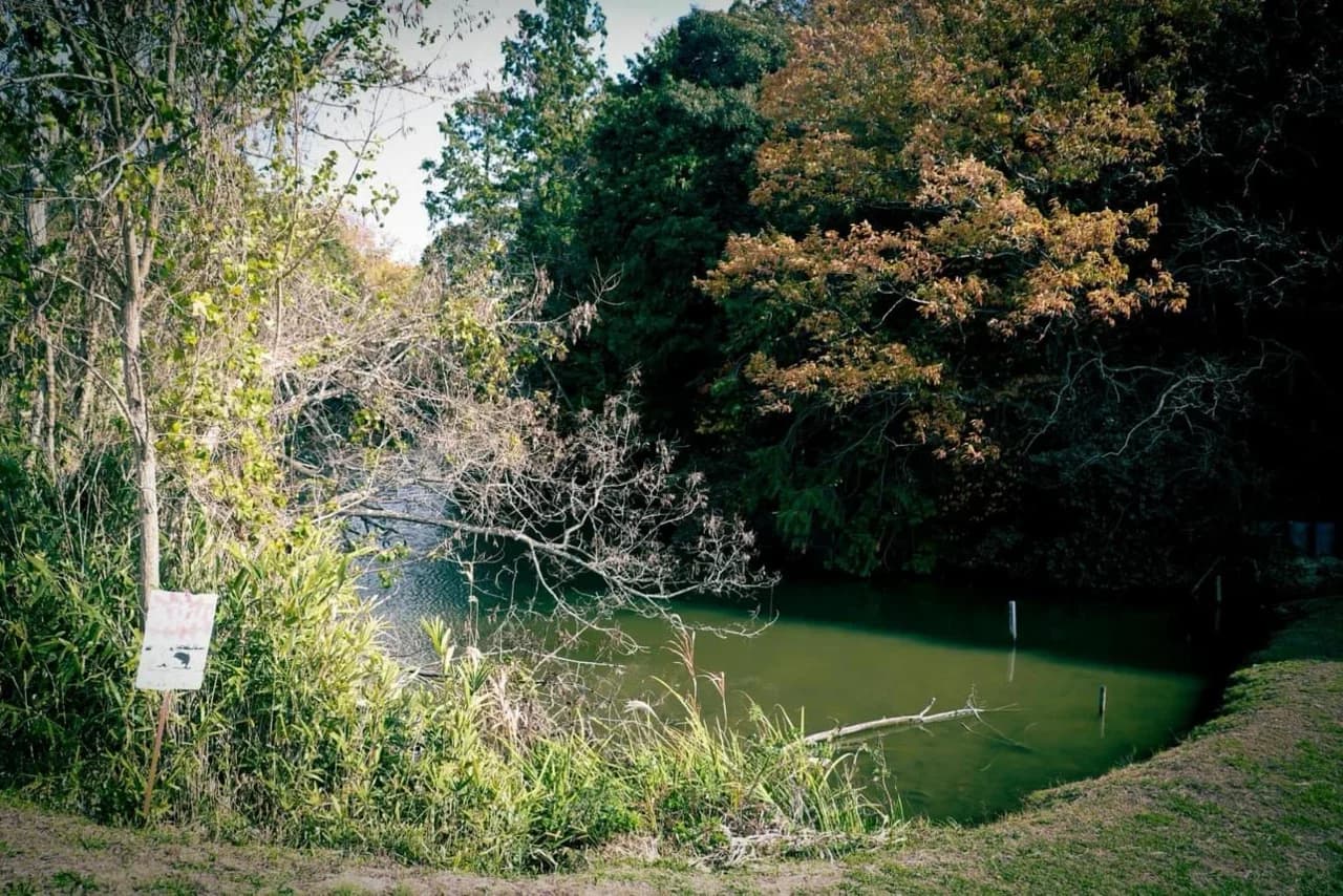 Shin-Kiyama-kofun Tumulus