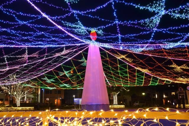 Tree lighting in Aozora Park