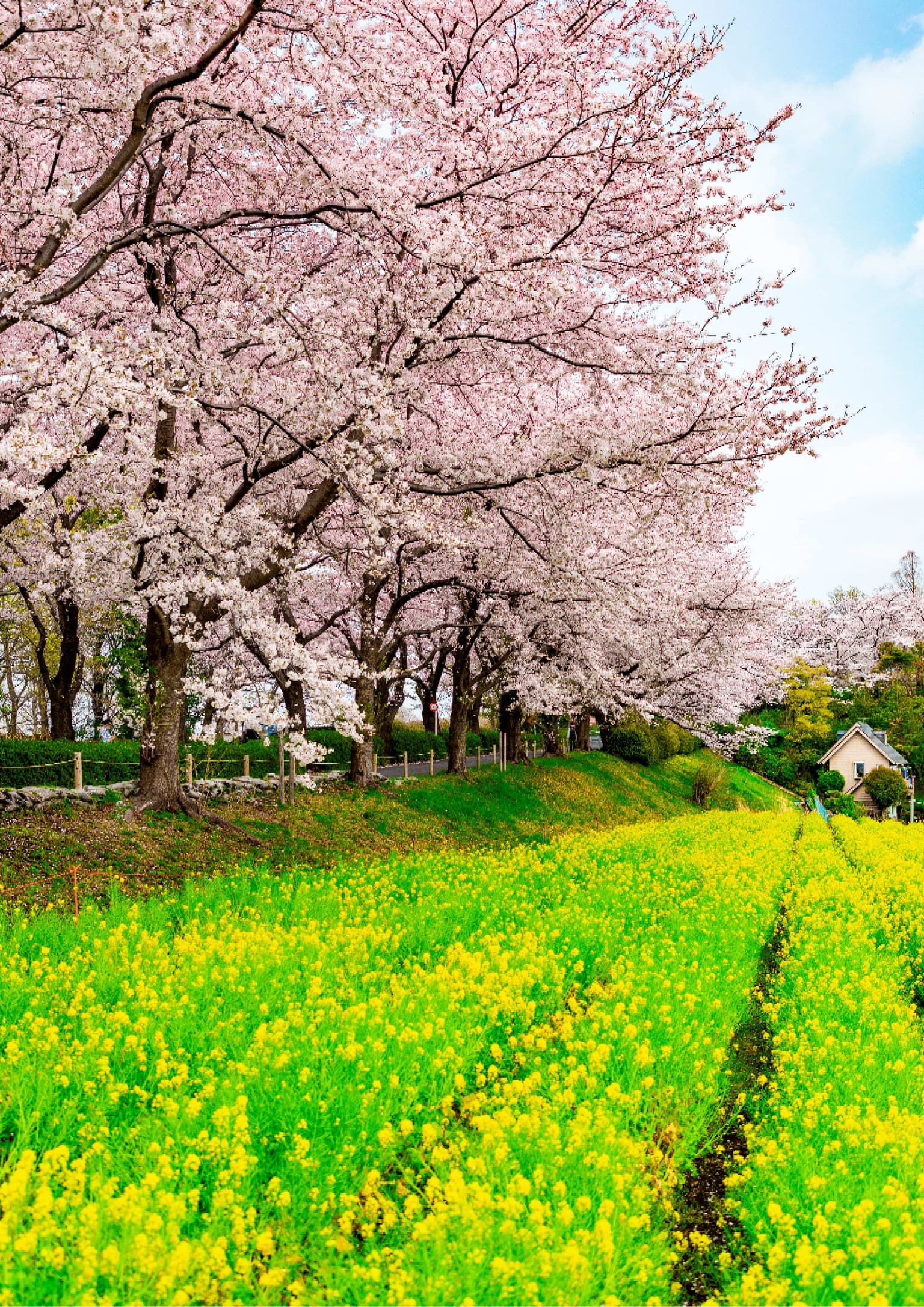 Ridge green road venue