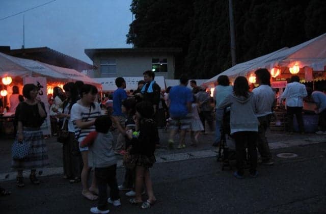 Twilight Festival (Firefly Festival)