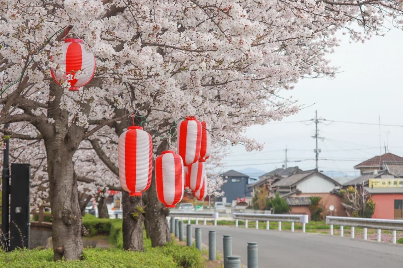 南郷環濠集落（桜）