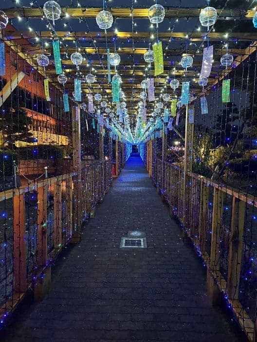 Tobishima evening light