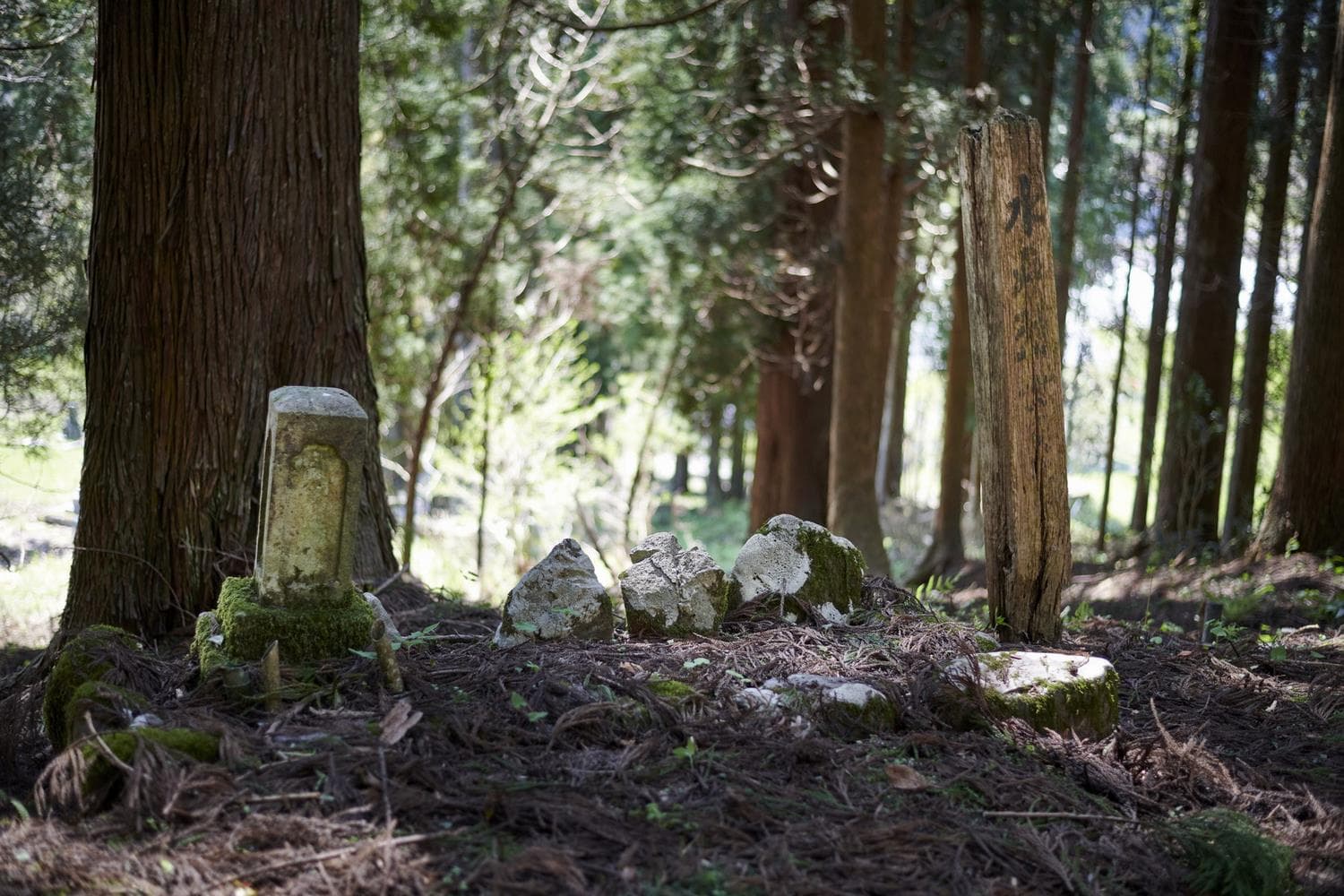 水戸天狗党浪士の生墓（いきばか）