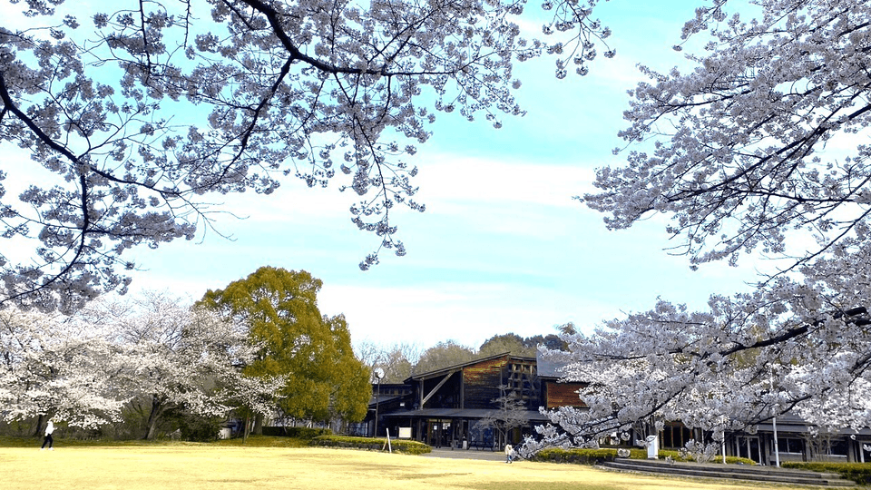 Sun Amenity Kitamoto Camp Field (Kitamoto City Outdoor Activity Center)