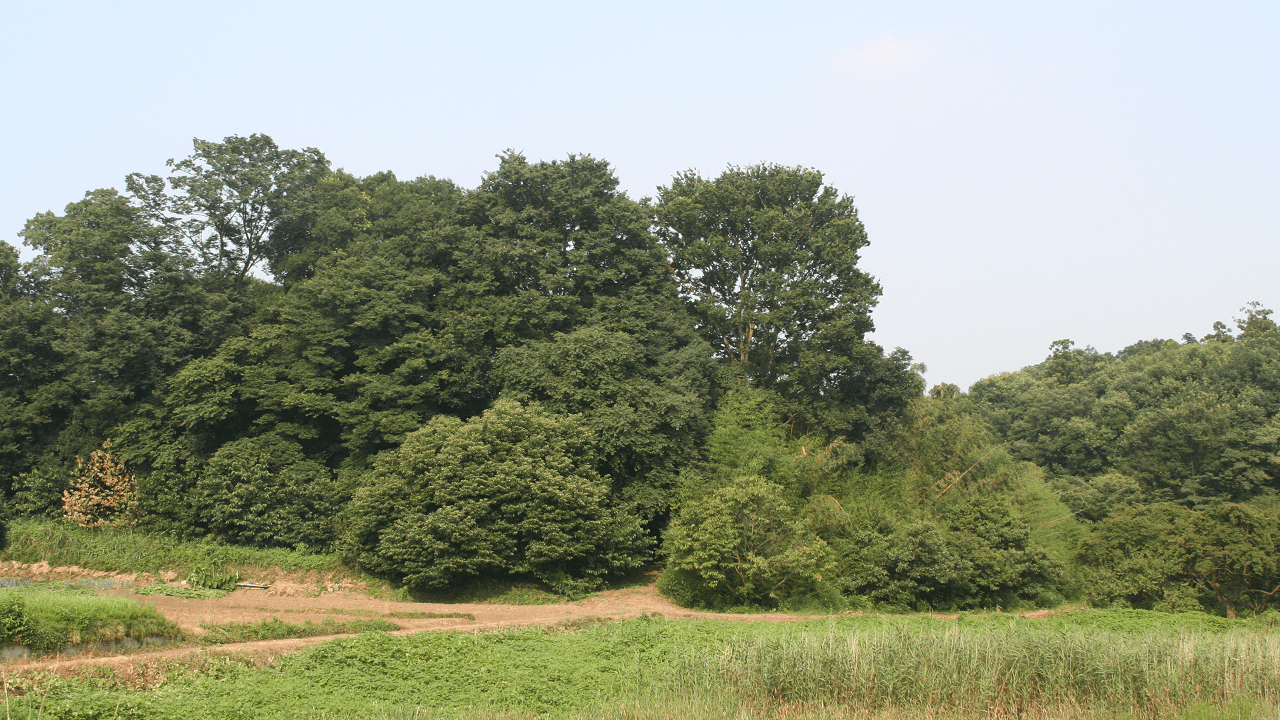高尾宮岡の景観地