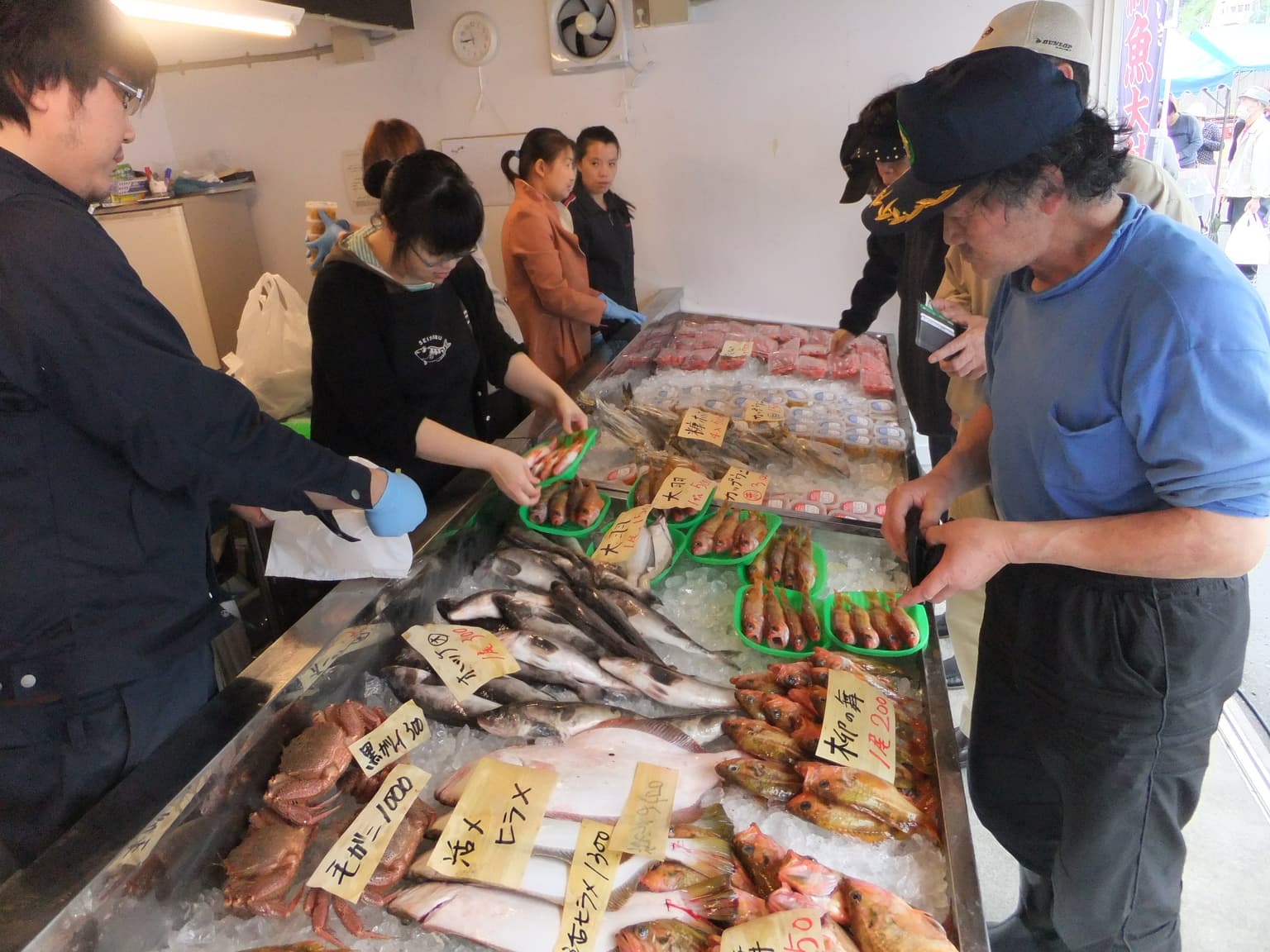 Freshly landed seafood line up