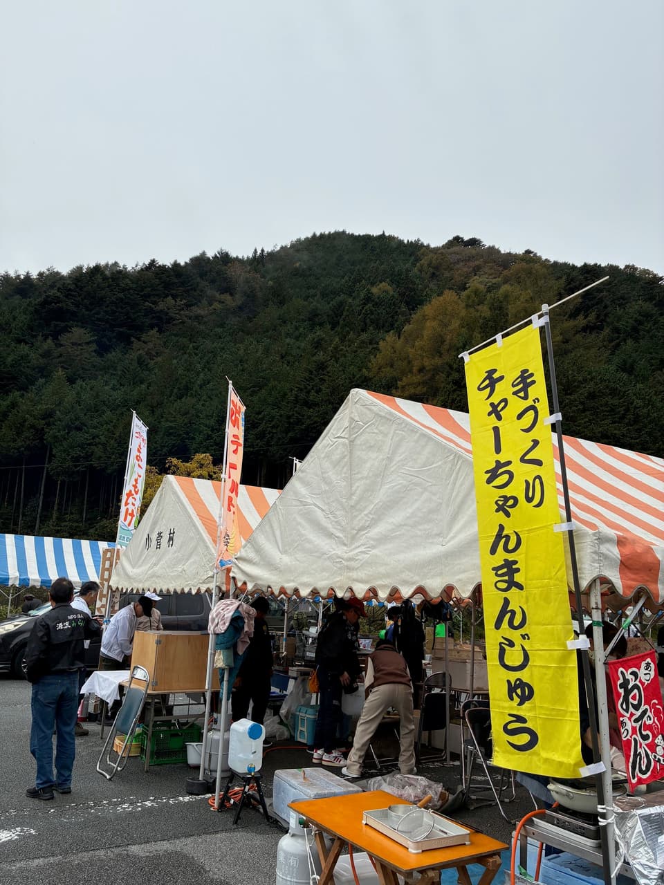Grace Festival stall of the earth