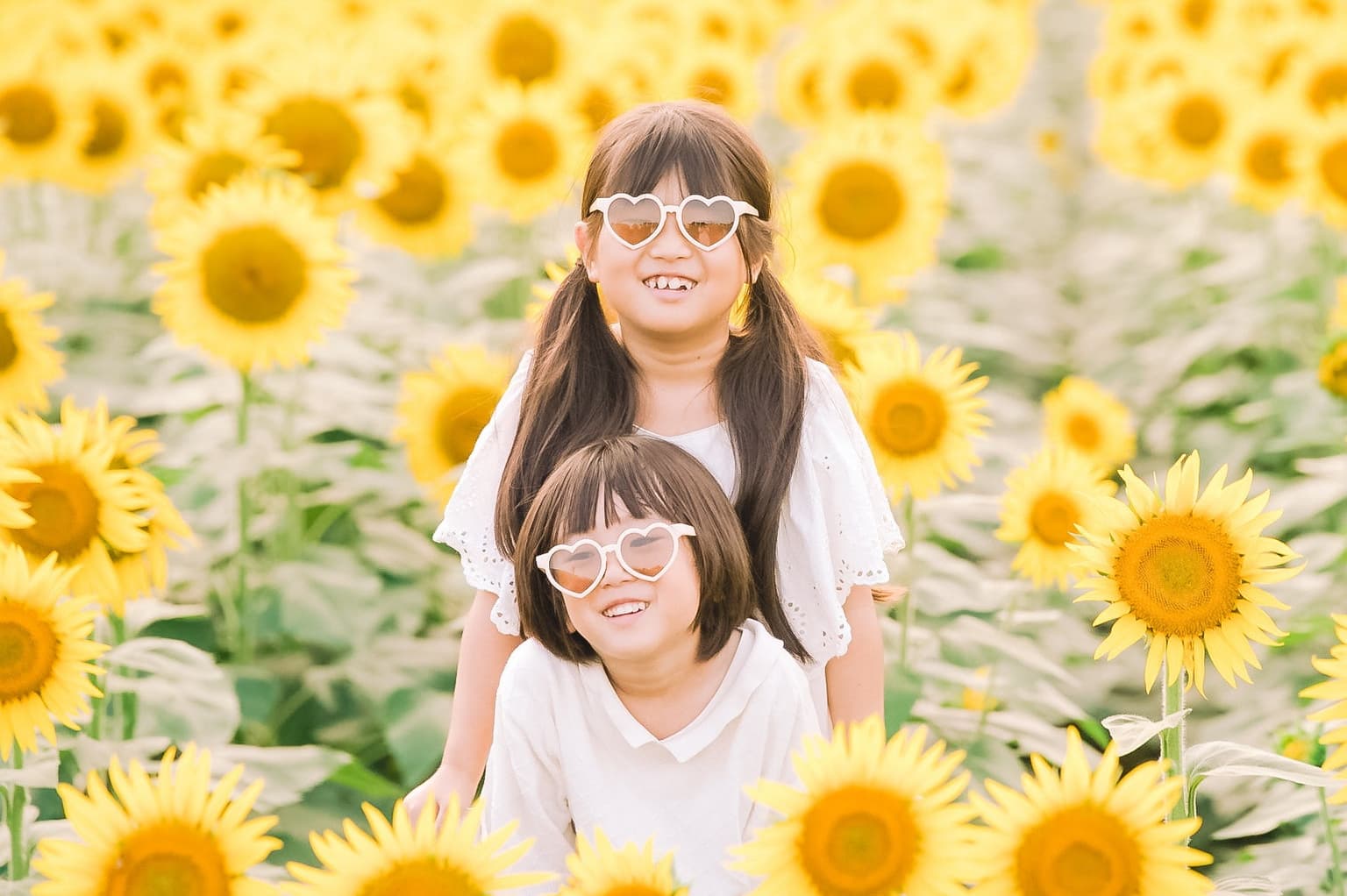 2025 Sunflower Summit Instagram Photo Contest Kaminokawa-cho Grand Prize work