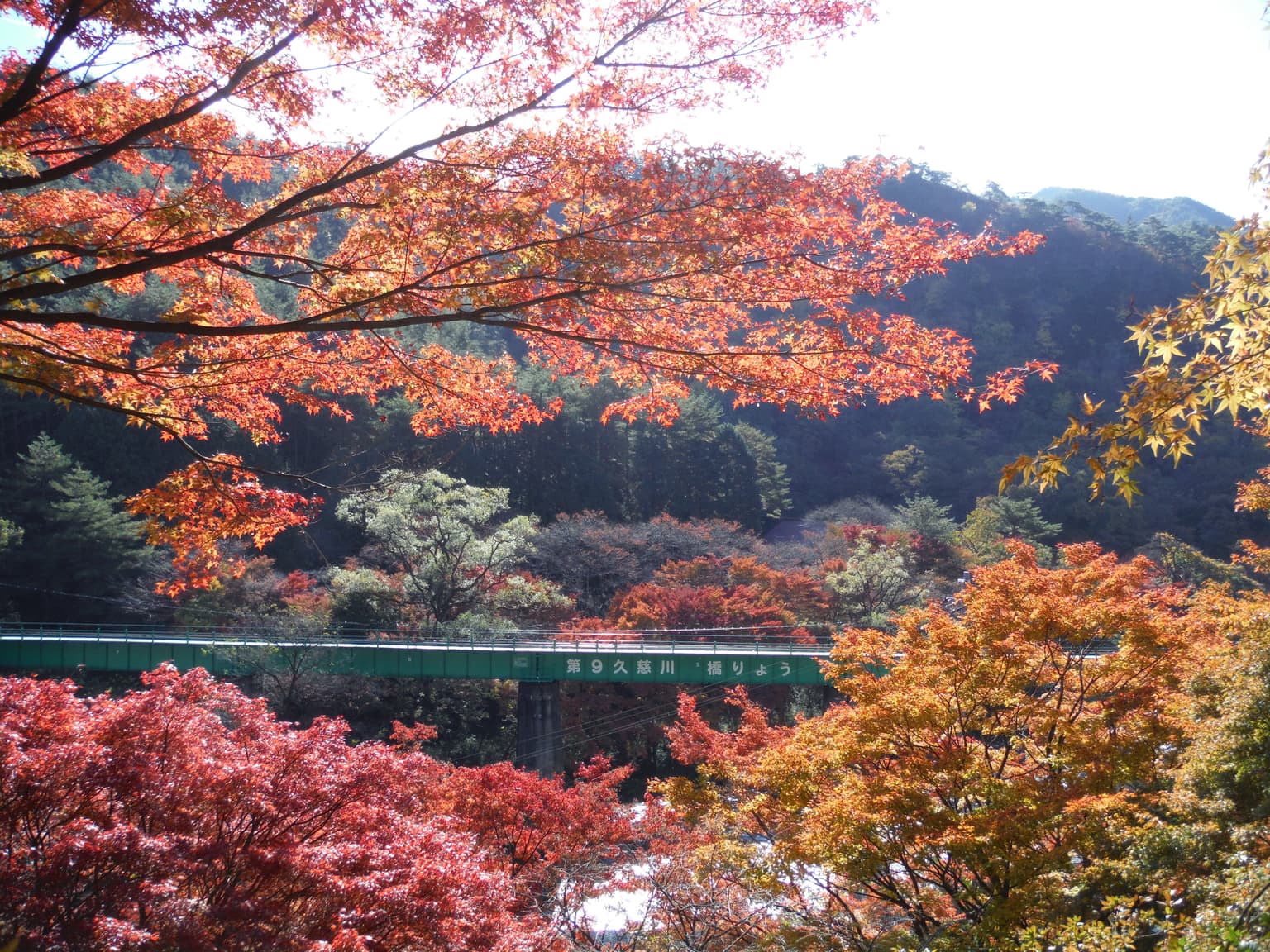Autumn leaves of Yamatsuriyama