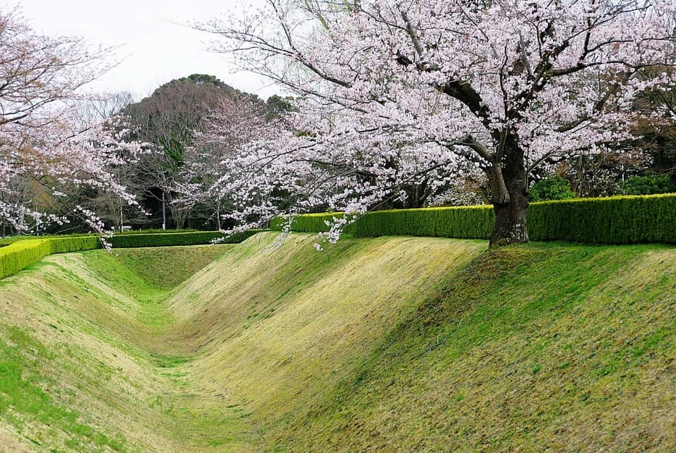 Sakura Castle (Aerial Photography)