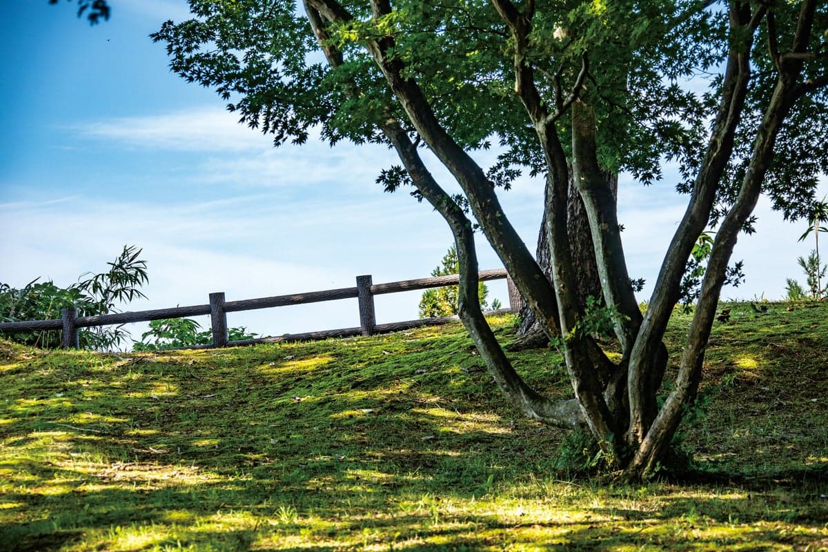標高150mの赤田城址の見晴台からは、刈羽村から柏崎市まで見渡せる雄大な景色をパノラマで眺望できます