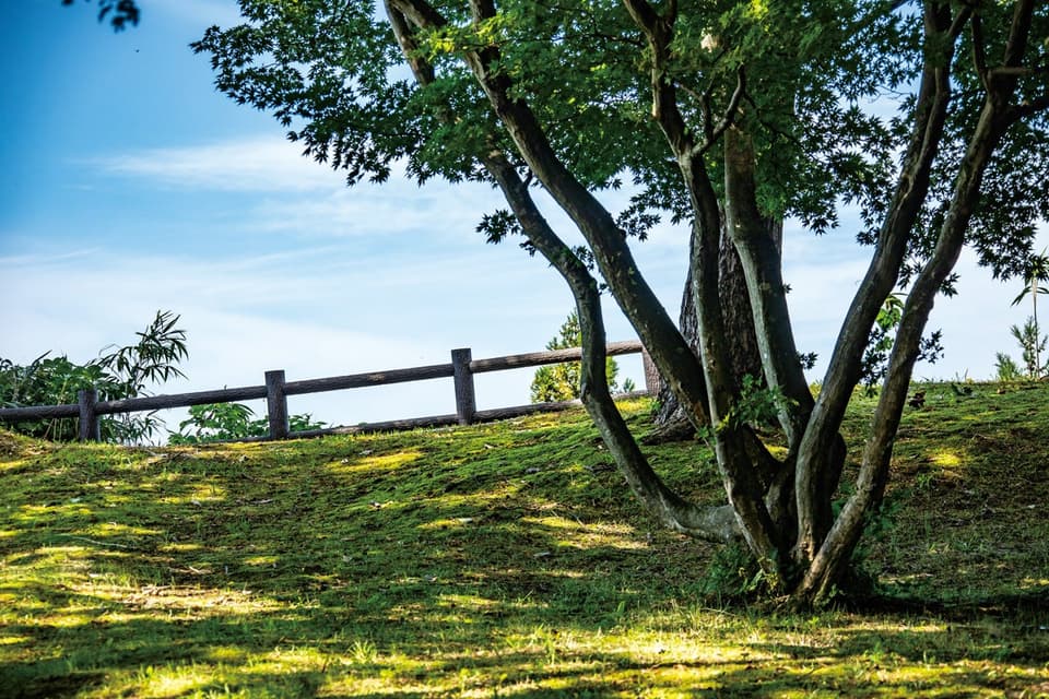 標高150mの赤田城址の見晴台からは、刈羽村から柏崎市まで見渡せる雄大な景色をパノラマで眺望できます