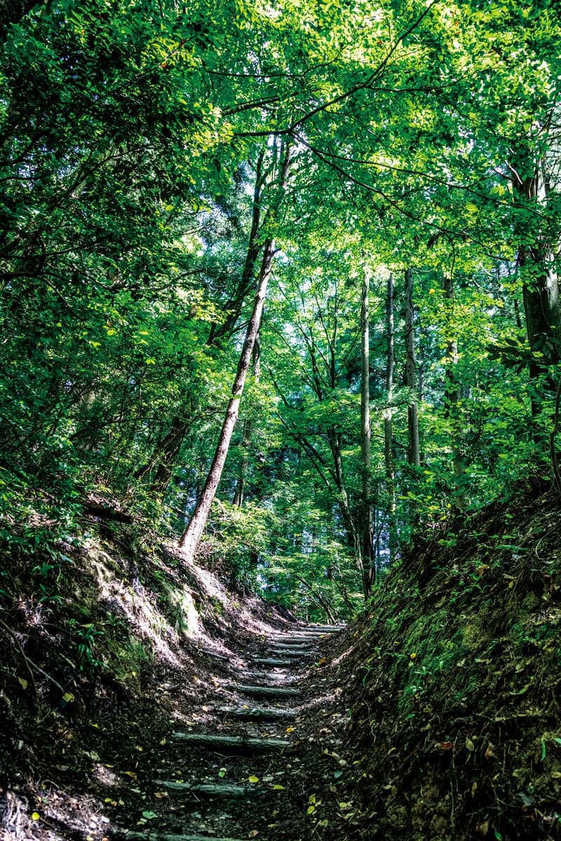 野鳥のさえずりを聞きながら心地よく散歩できる、1周2km程の整備された遊歩道は「新潟県森林浴の森百選」にも選ばれています