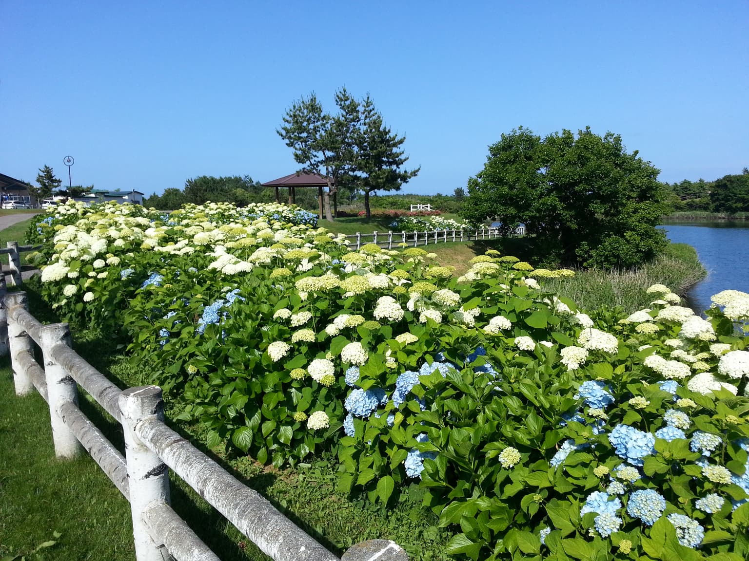 ひょうたん沼公園