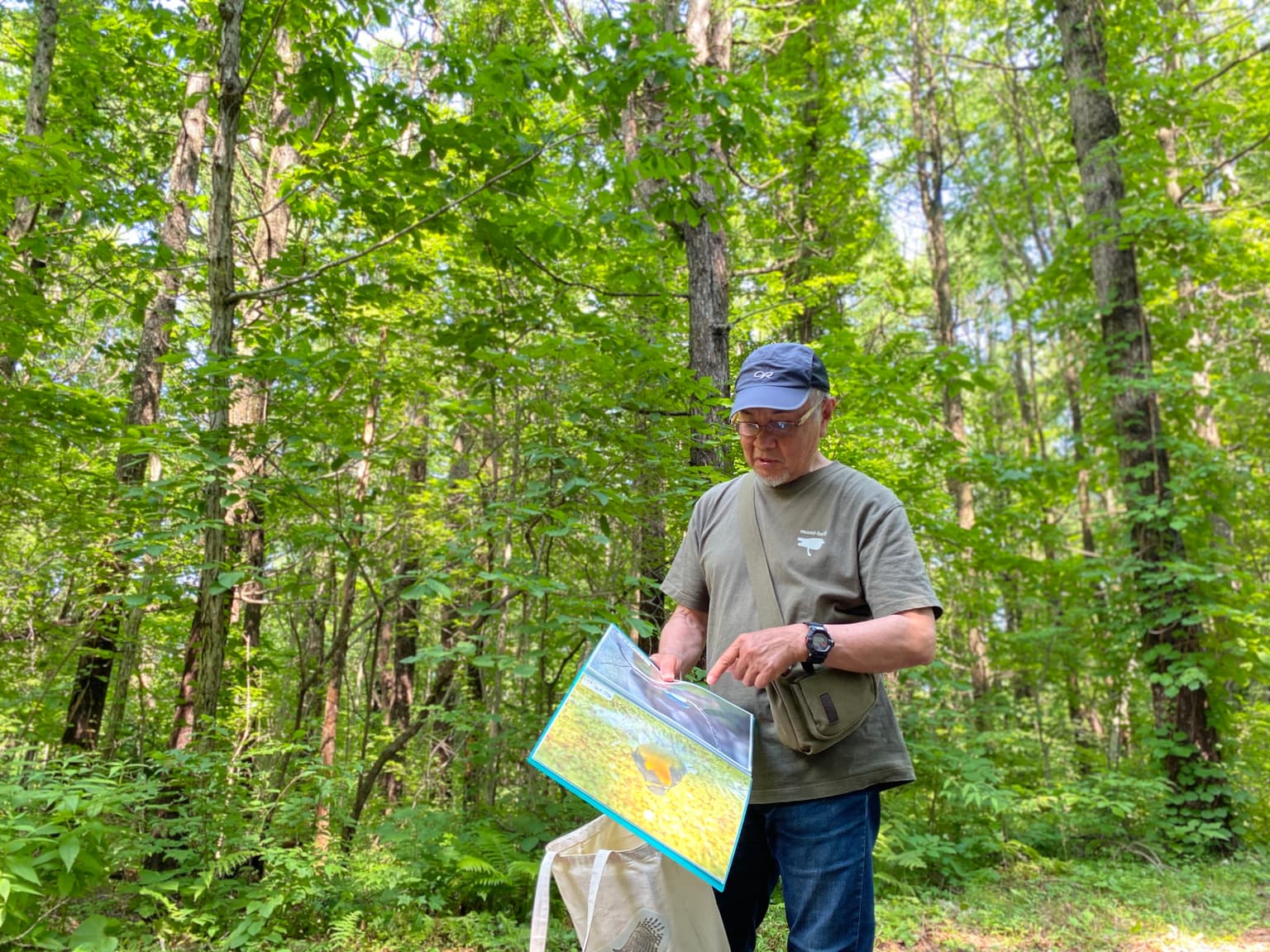 駒ヶ岳山麓リゾート森あるき１