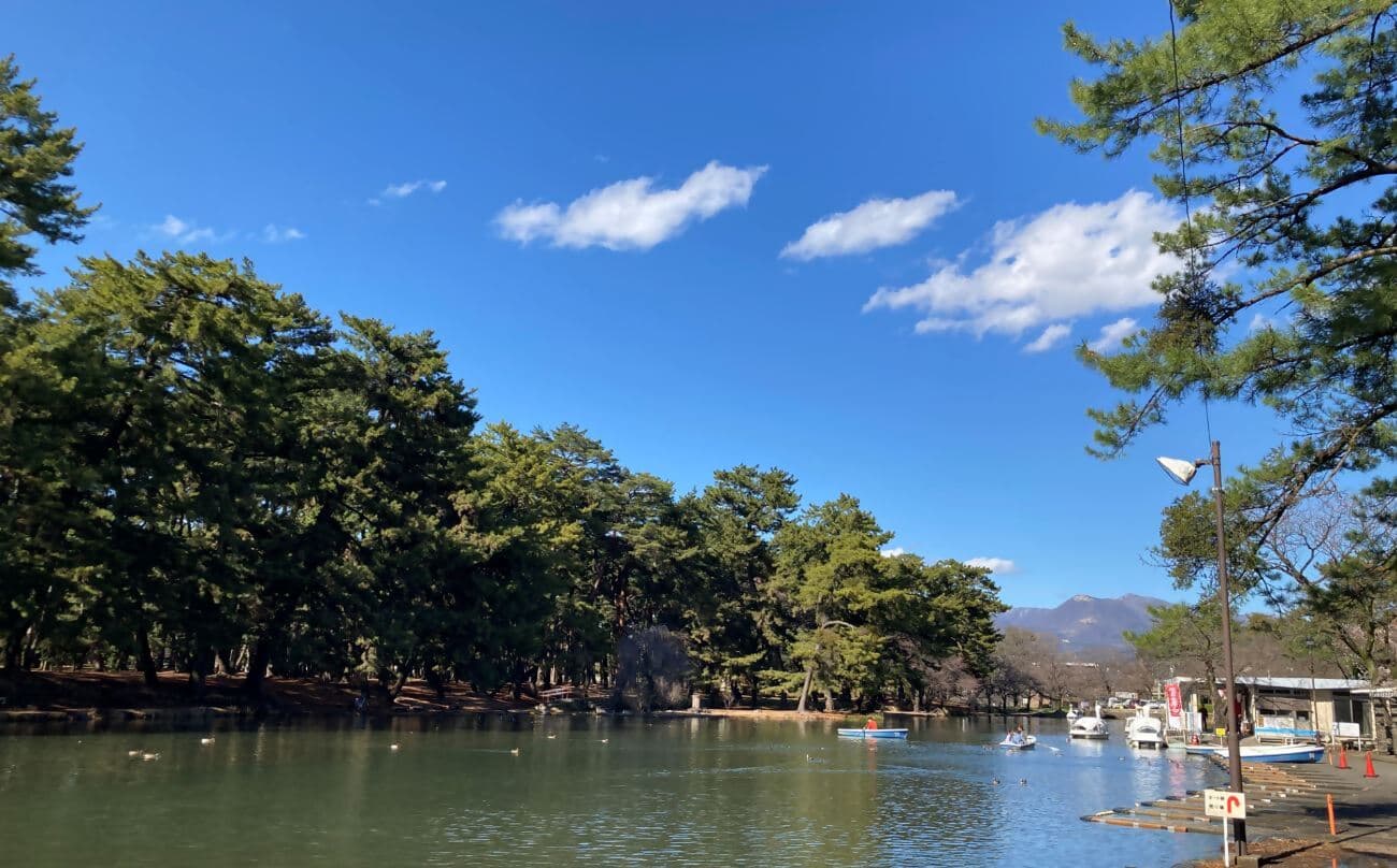 Matsubayashi of Shikishima Park