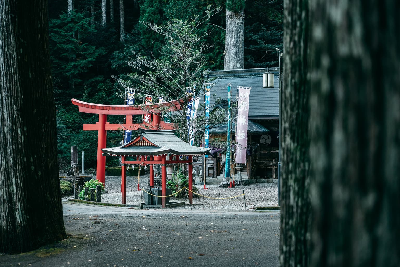 池神社