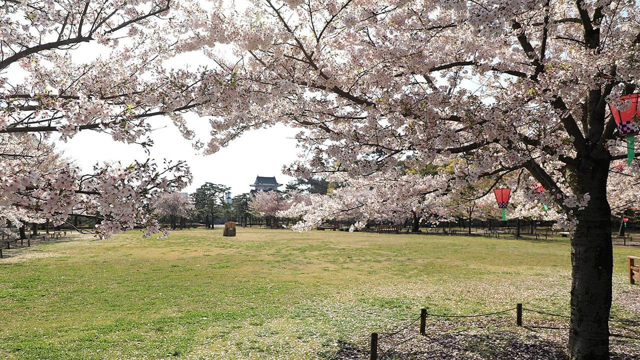 Historic Site Takamatsu Castle Ruins Cherry Blossoms at Tamamo Park