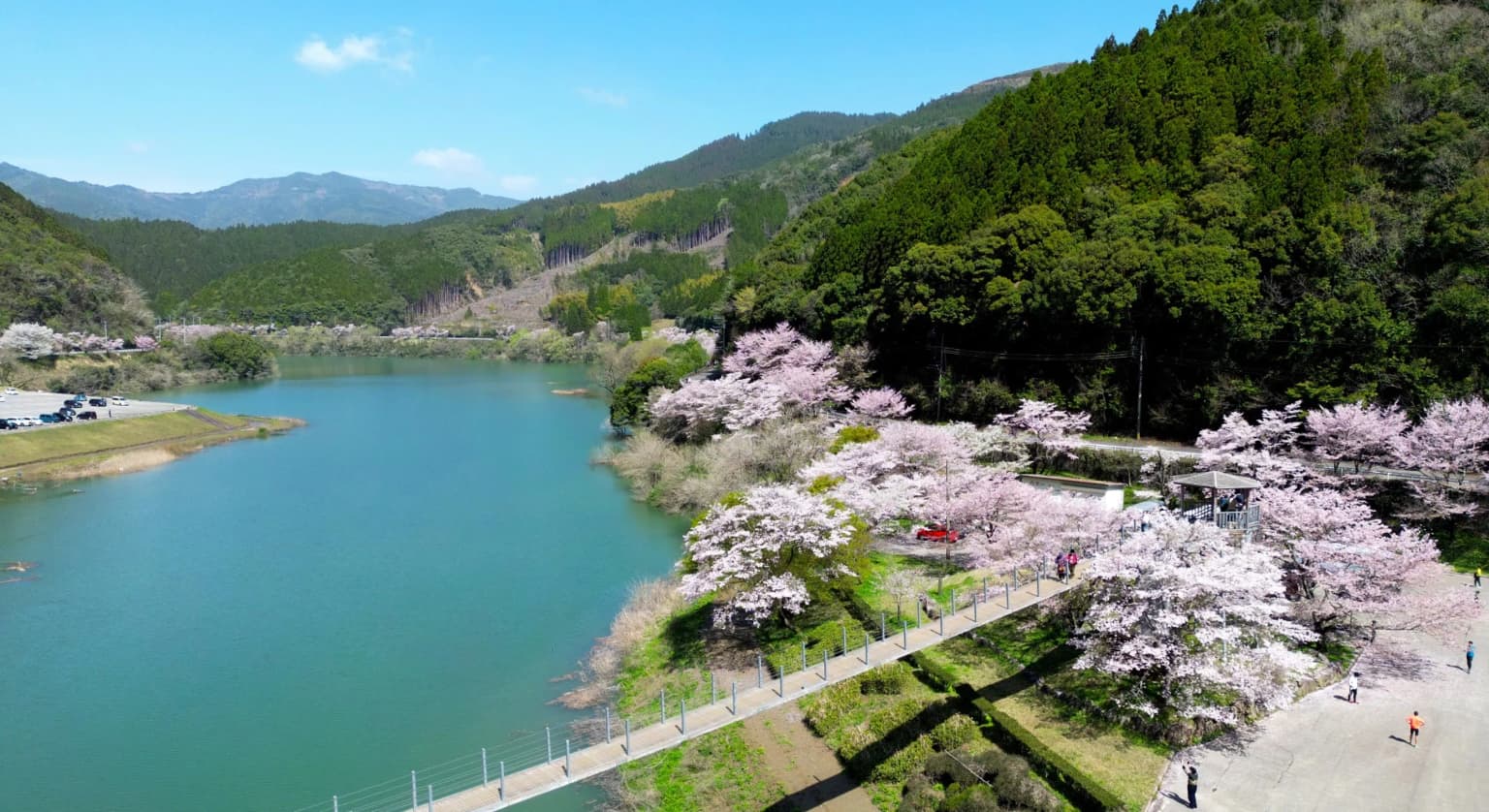 市房ダム湖周辺の桜