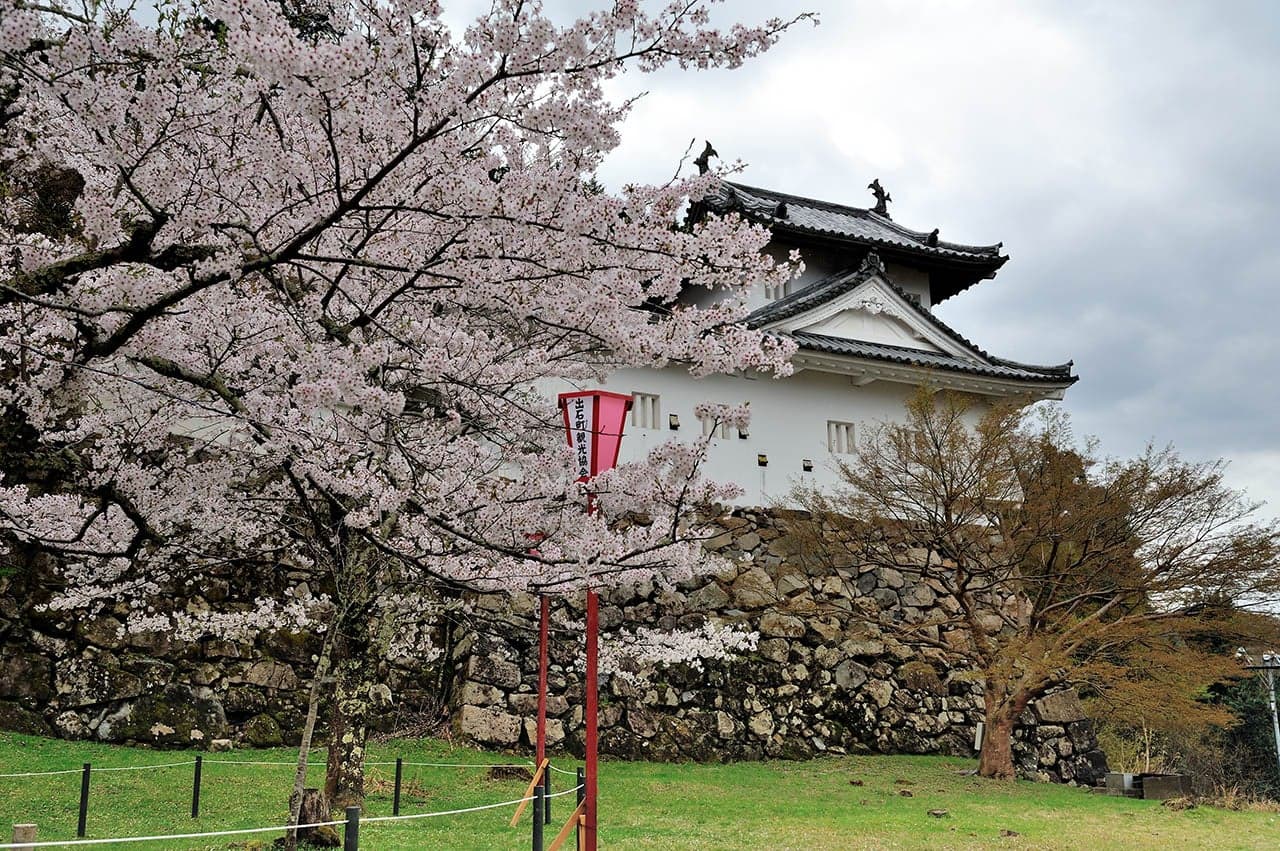 出石城跡の桜
