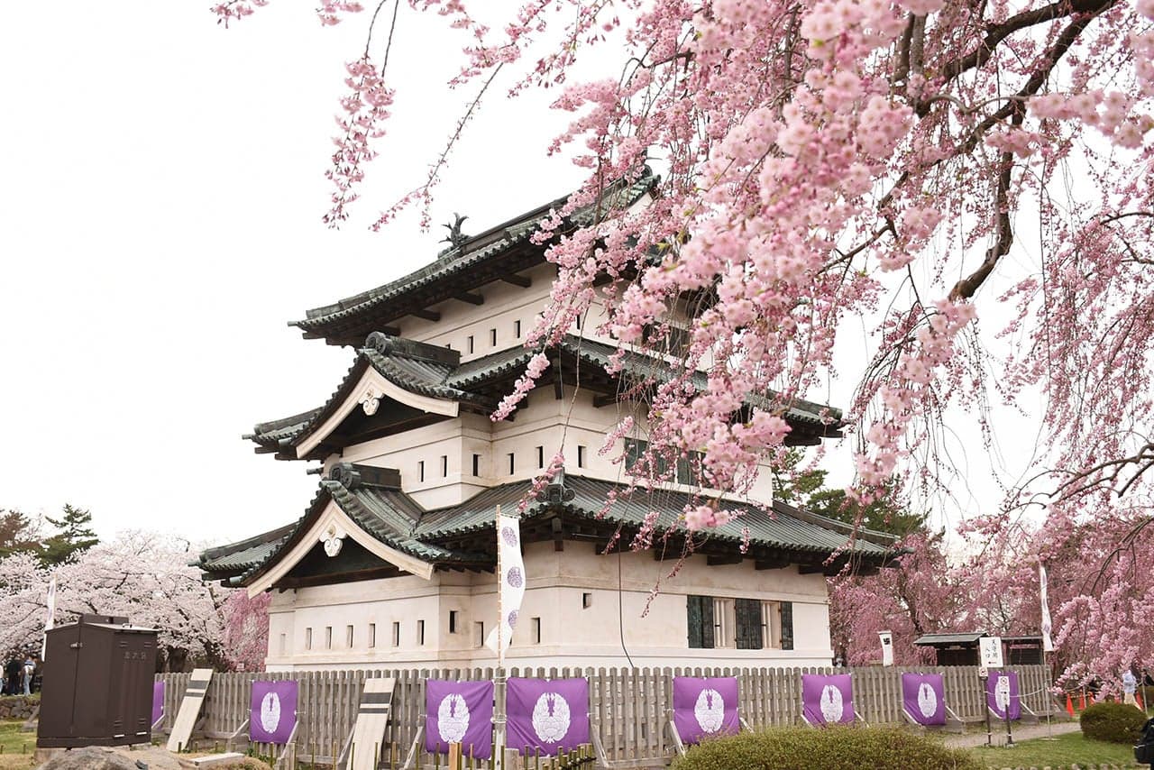 弘前公園（弘前城）の桜