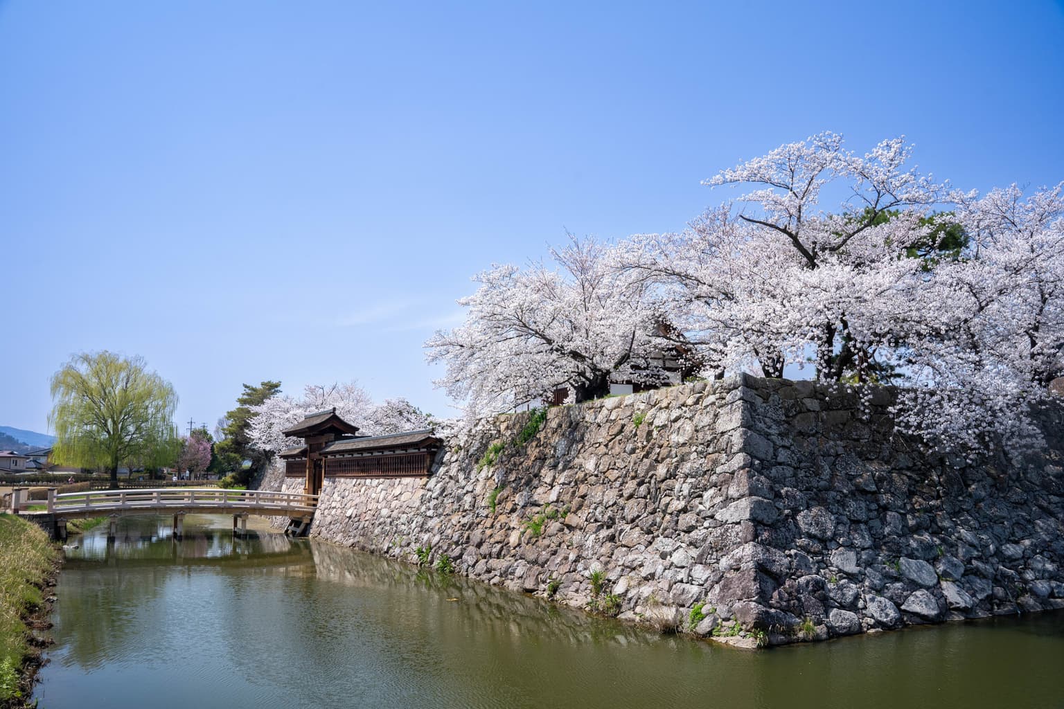 松代城跡の桜