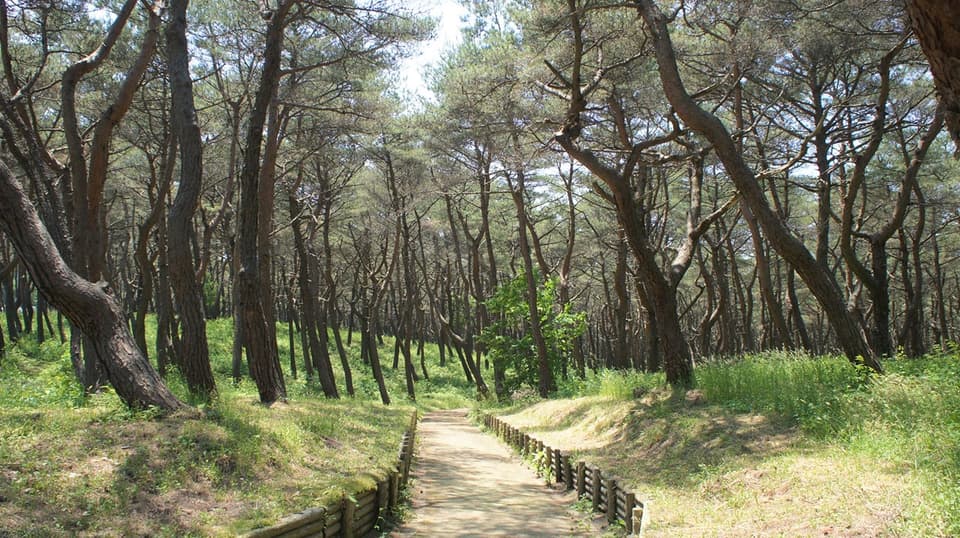 お幕場森林公園