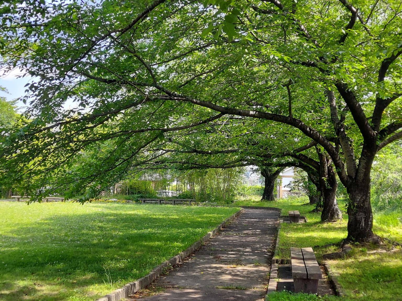 Kutsukake Castle Ruins (Summer)