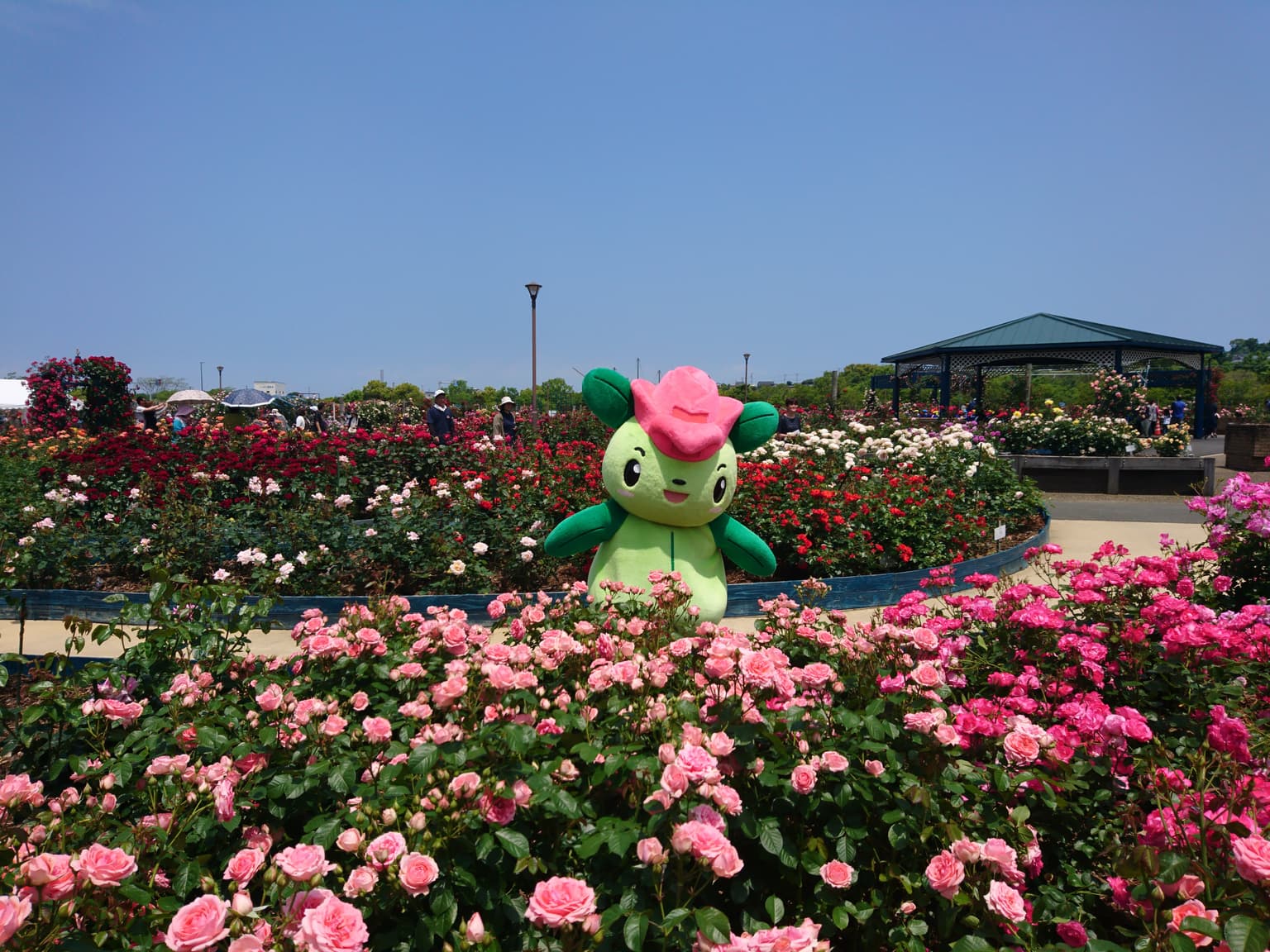 水俣ローズフェスタ春2026　エコバラちゃん