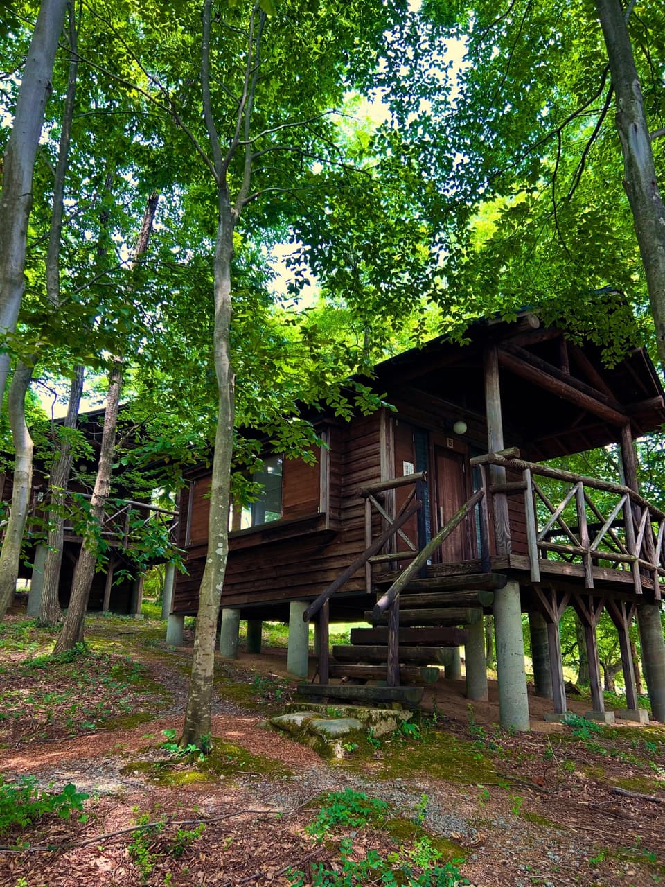 Ancient Hill Bungalow