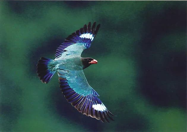 Farmer's Minshuku Buhoso
