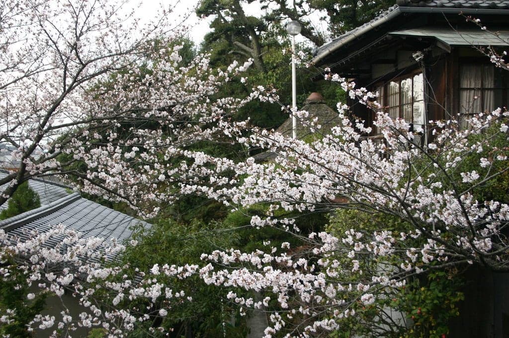 庭園旅館 備後屋