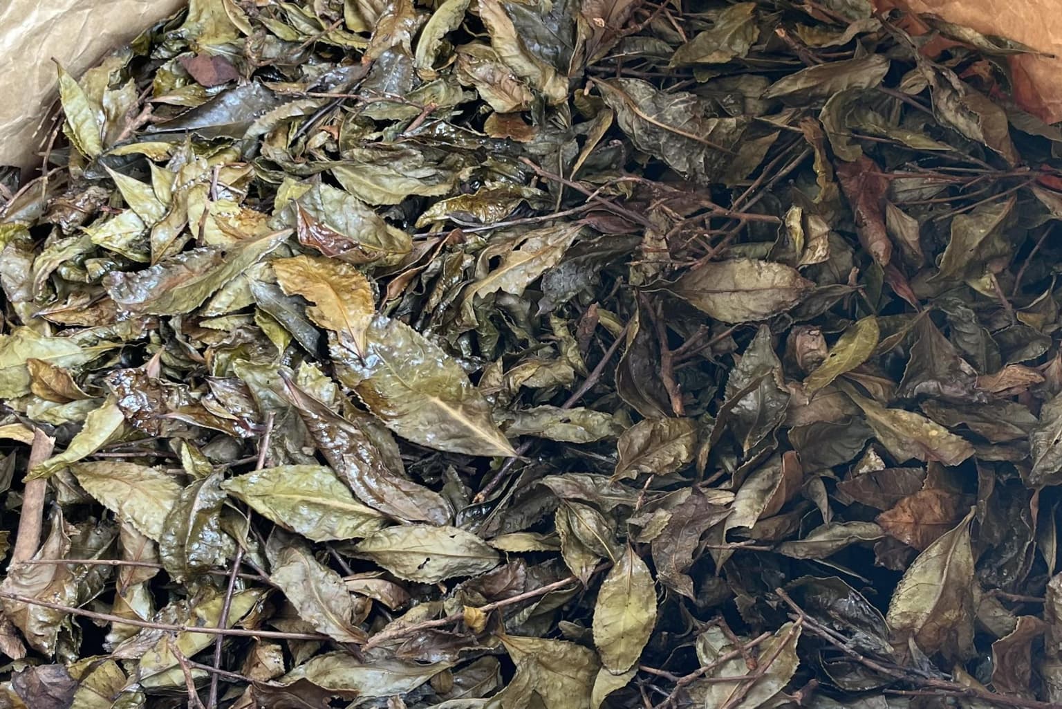 Mimasaka Bancha