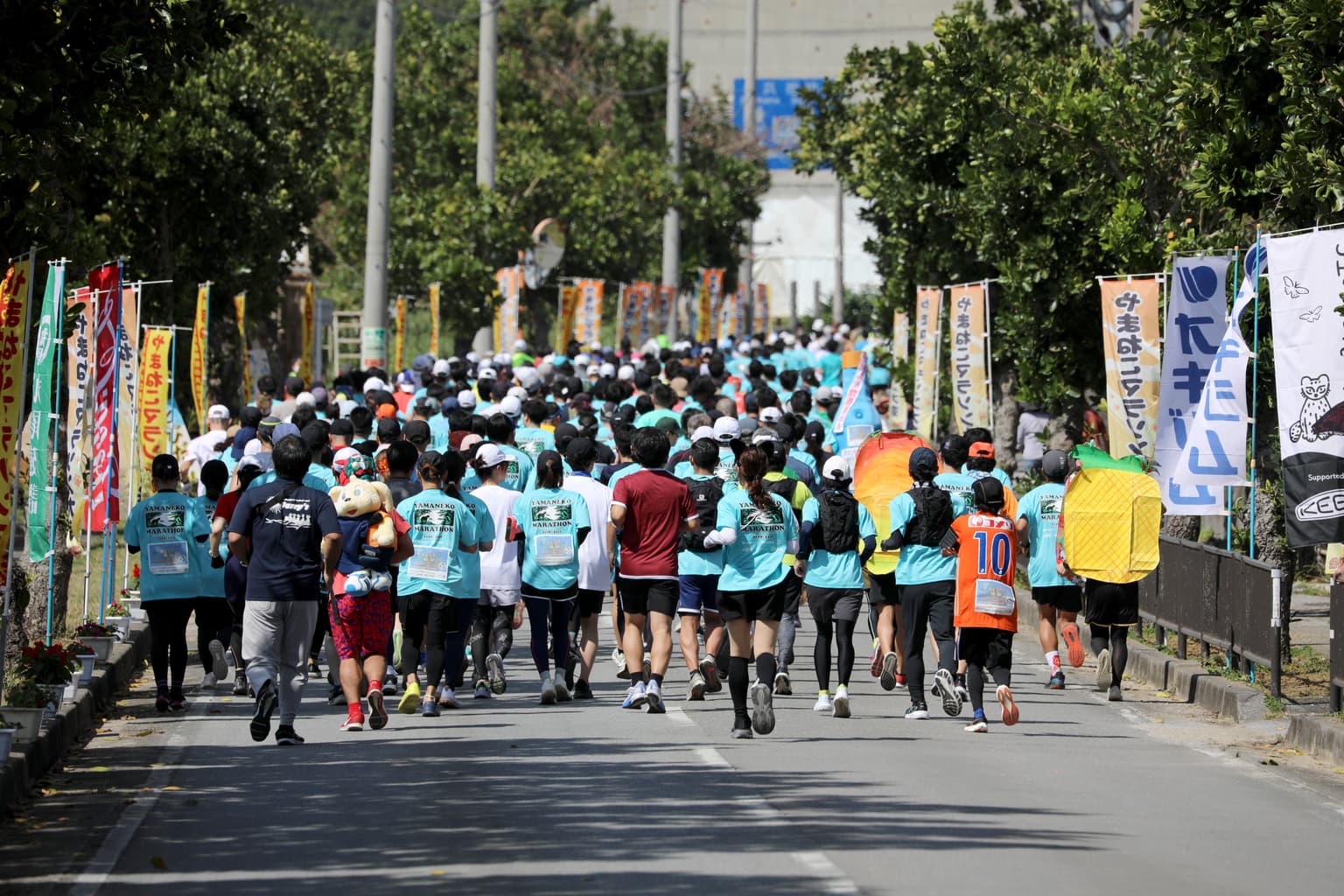 The 31st Yamaneko Marathon