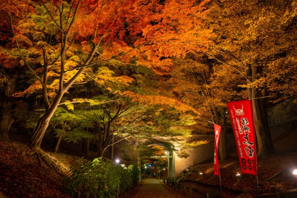 Ueda Castle Autumn Leaves Festival