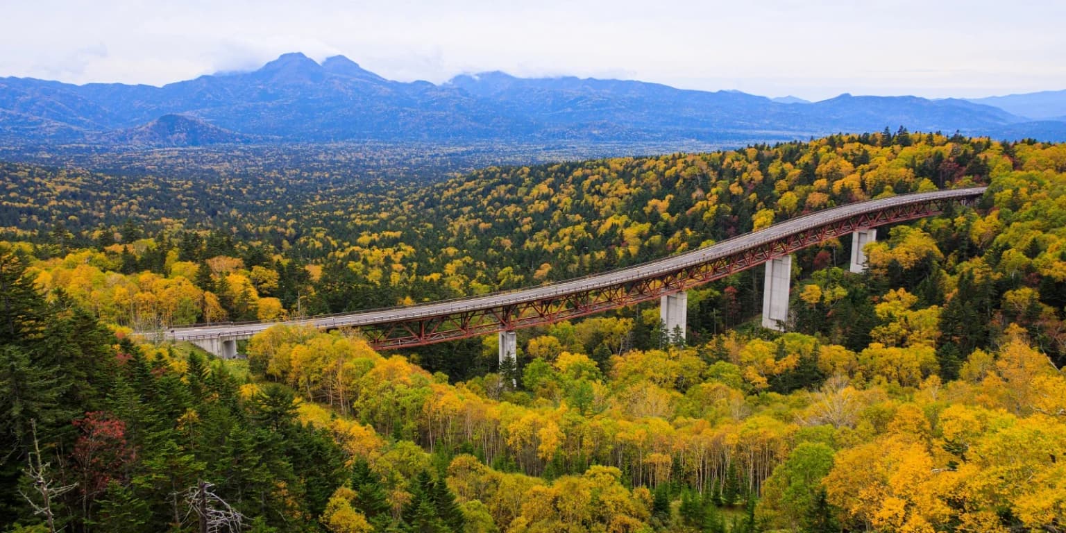 三国峠の紅葉