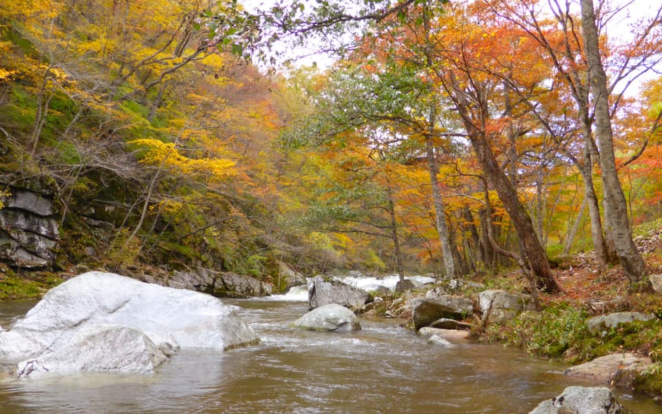 重湍渓の紅葉