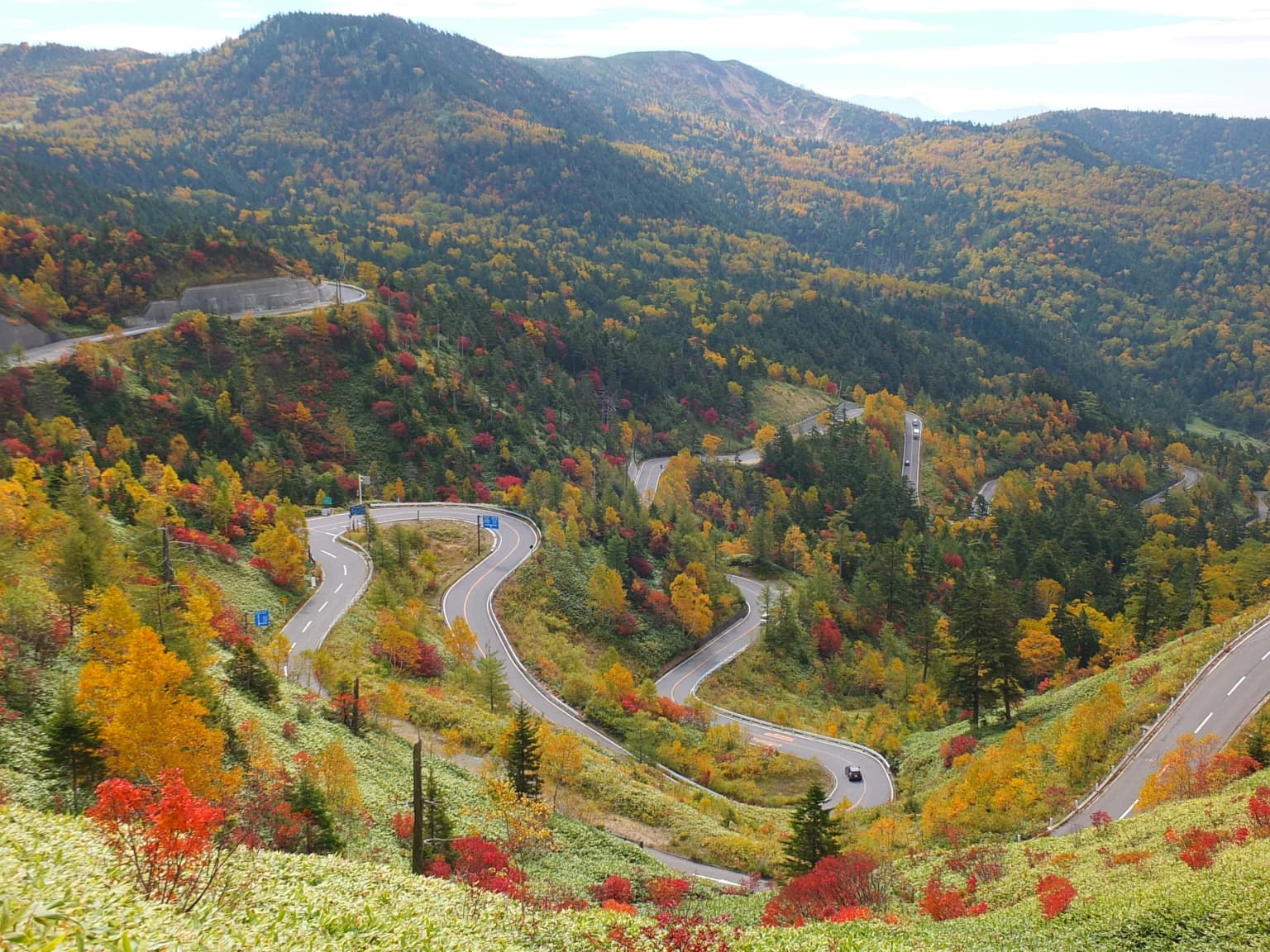 Autumn leaves on Shiga Kusatsu Kogen Route (National Route 292)