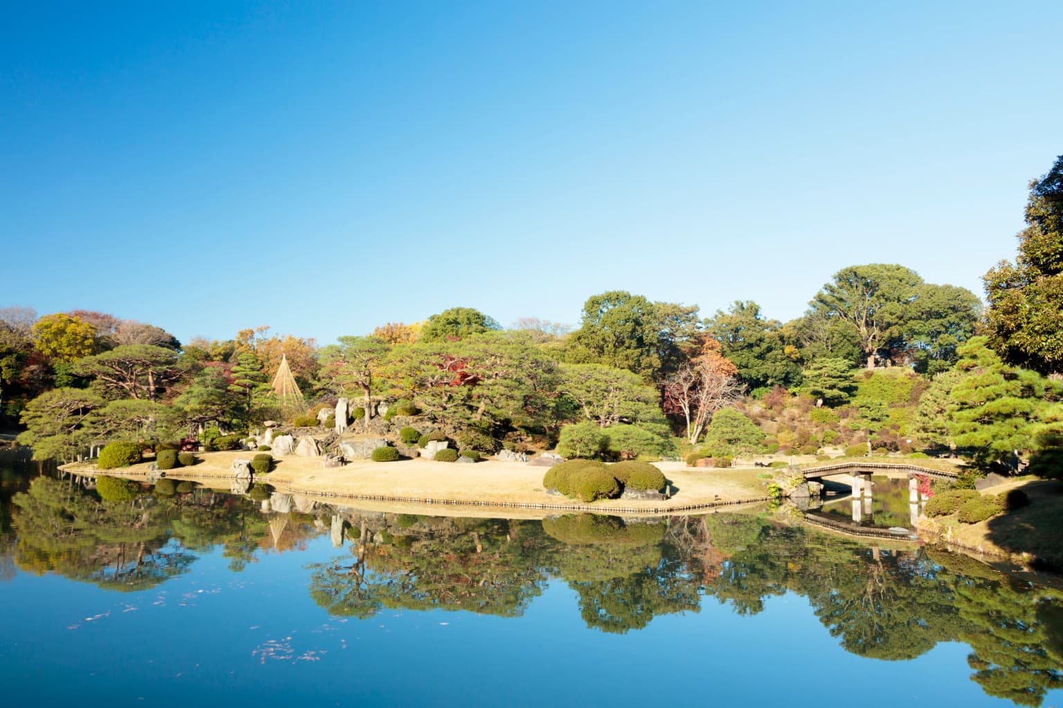 Autumn leaves in Rikugi-en Garden